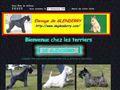 Elevage DE GLENDERRY Kerry Blue & Scottish Terriers *