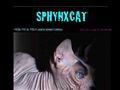 Chatterie SPHYNXCAT Sphinx. *