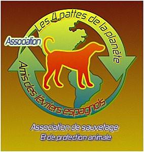 Association LES 4 PATTES DE LA PLANETE sauvetage protection des animaux