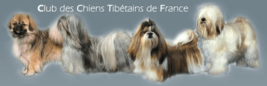 Club des Chiens Tibétains de France