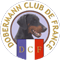 Site Officiel du DOBERMANN CLUB DE FRANCE