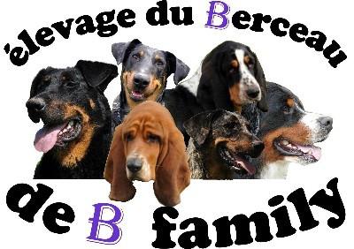 Elevage DU BERCEAU DE B FAMILY Berger de Beauce*