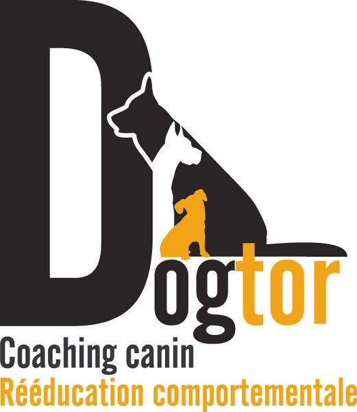 DOGTOR comportementaliste canin et coach education canine