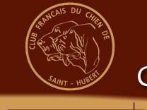 Club Français du CHIEN de SAINT-HUBERT ou BLOODHOUND