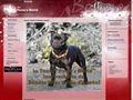 Elevage POME'S WORL Staffordshire Bull Terrier Staffie*