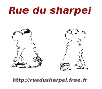 RUE DU SHARPEI : le guide pratique du shar-pei*