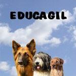 EDUCAGIL Dressage éducateur canin Comportementaliste *