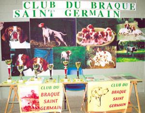 Club Français du BRAQUE St GERMAIN