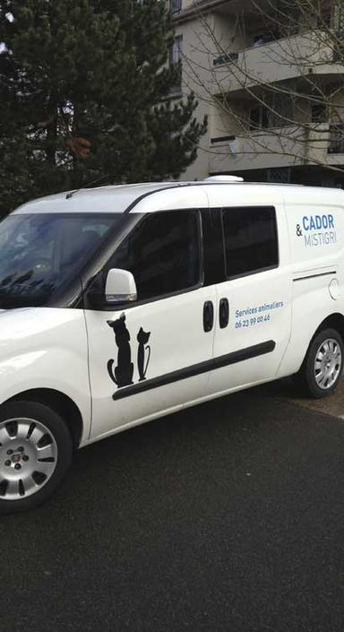 CADOR ET MISTIGRI Taxi animalier transport pour chien et chat *