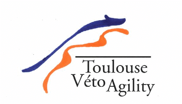 Le club - Toulouse Veto Agility *