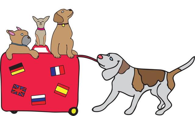 TRANS PET Transport animalier garde a domicile*