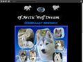 ElevageOF ARCTIC WOLF DREAM Siberian Husky *