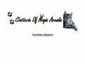 Chatterie OF MAGIC ARCADIA Maine Coon *