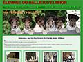 Elevage HALLIER D ALTINOR Fox-Terriers Poil Dur*