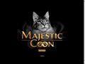 Chatterie MAJESTIC COON Maine Coon 