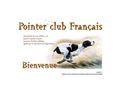 Pointer Club Français