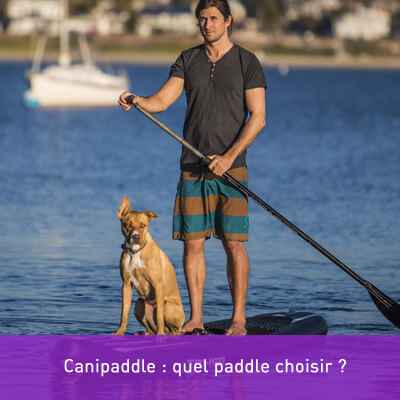 Canipaddle : quel paddle choisir ?
