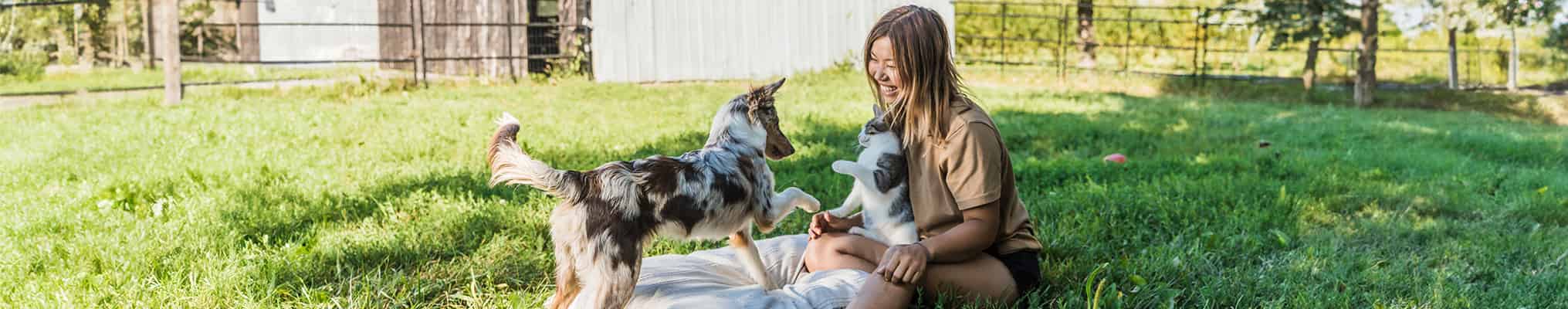 Banner marque chat et chien + pet lover