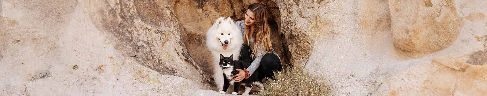 Banner marques chat et chien + pet lover