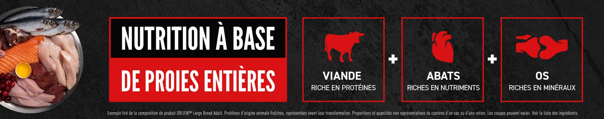 Banner avec bowl et graphique Wholeprey