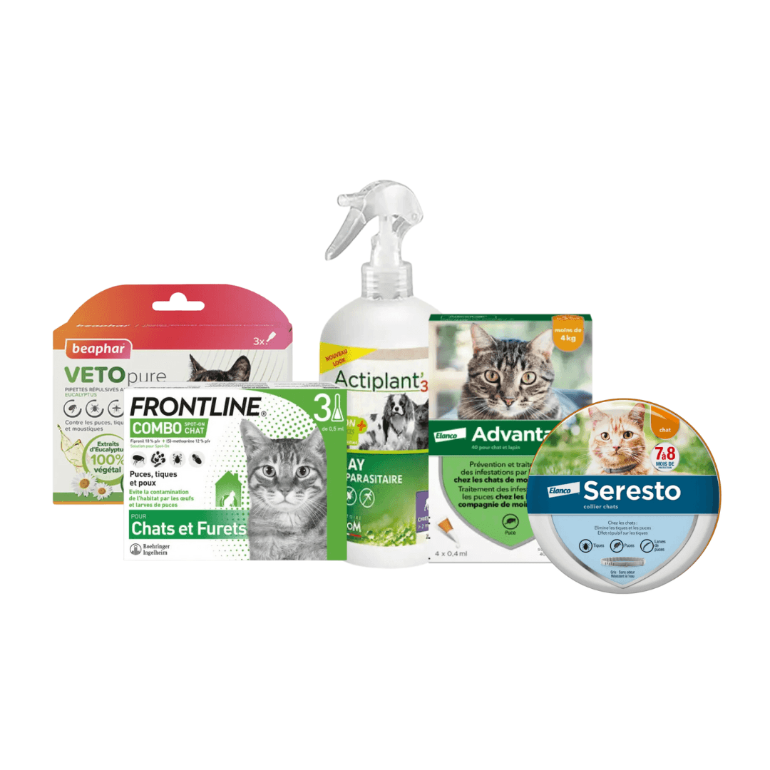 Antiparasitaire insectifuge pour chat