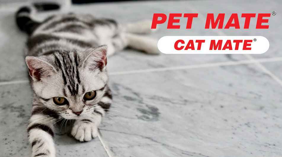 PetMate articles pour chats