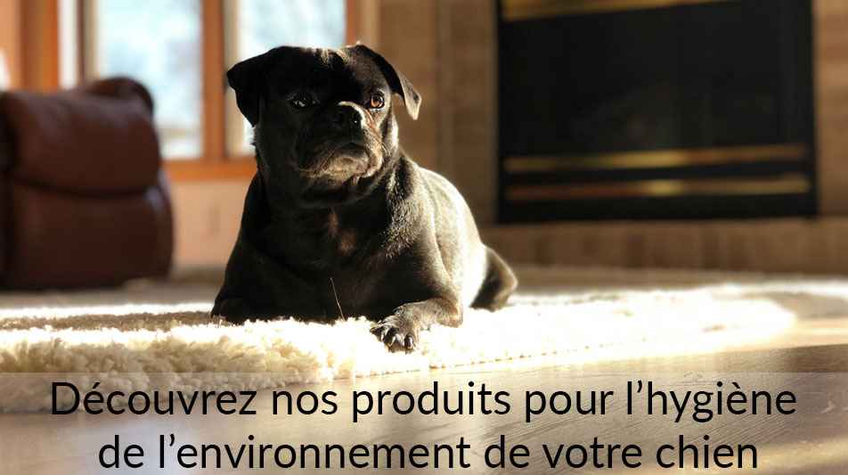 Produits pour l'hygiène de l'environnement du chien