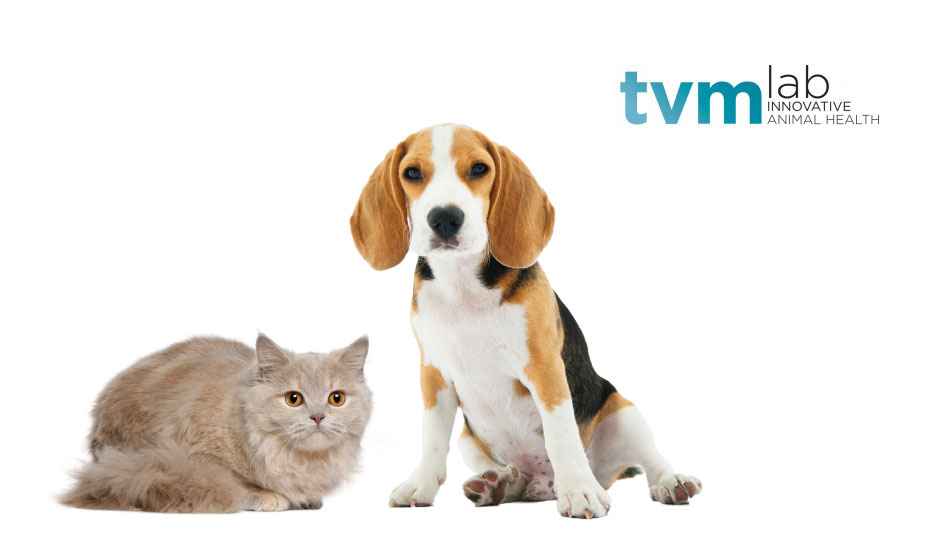 Laboratoire TVM santé animale