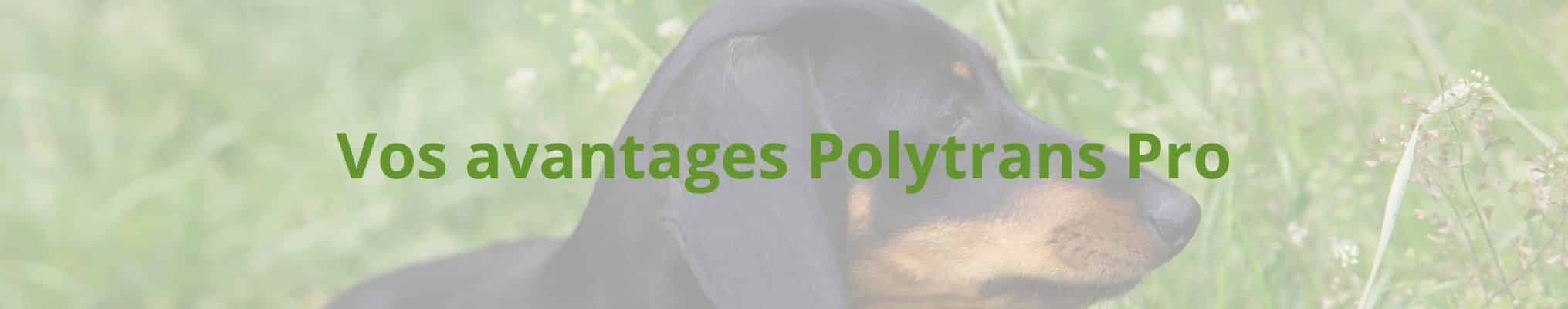 Vos avantages Polytrans Pro