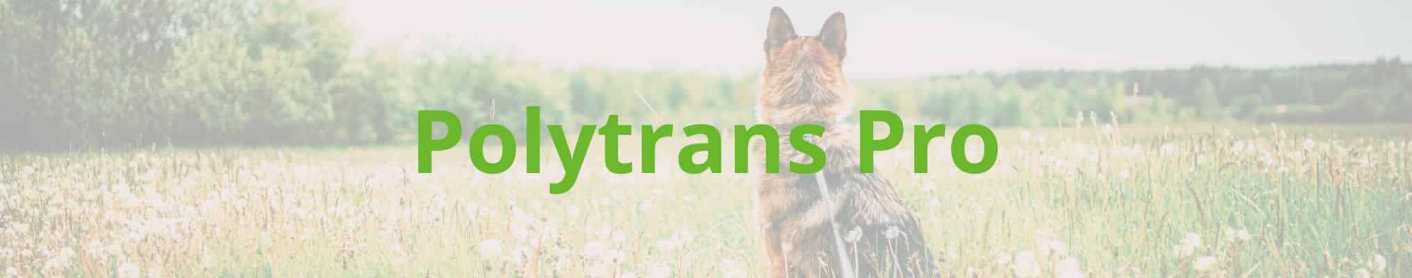 Polytrans Pro