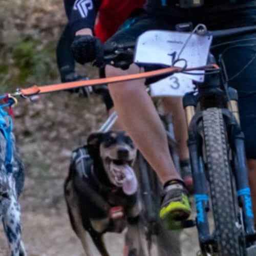 Test de la barre de trait Bike Antenna Non-Stop dogwear