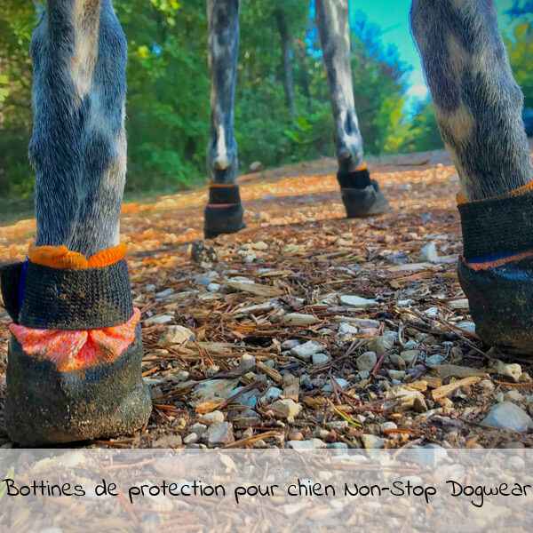 Test des bottines de protection pour chien Non-Stop Dogwear