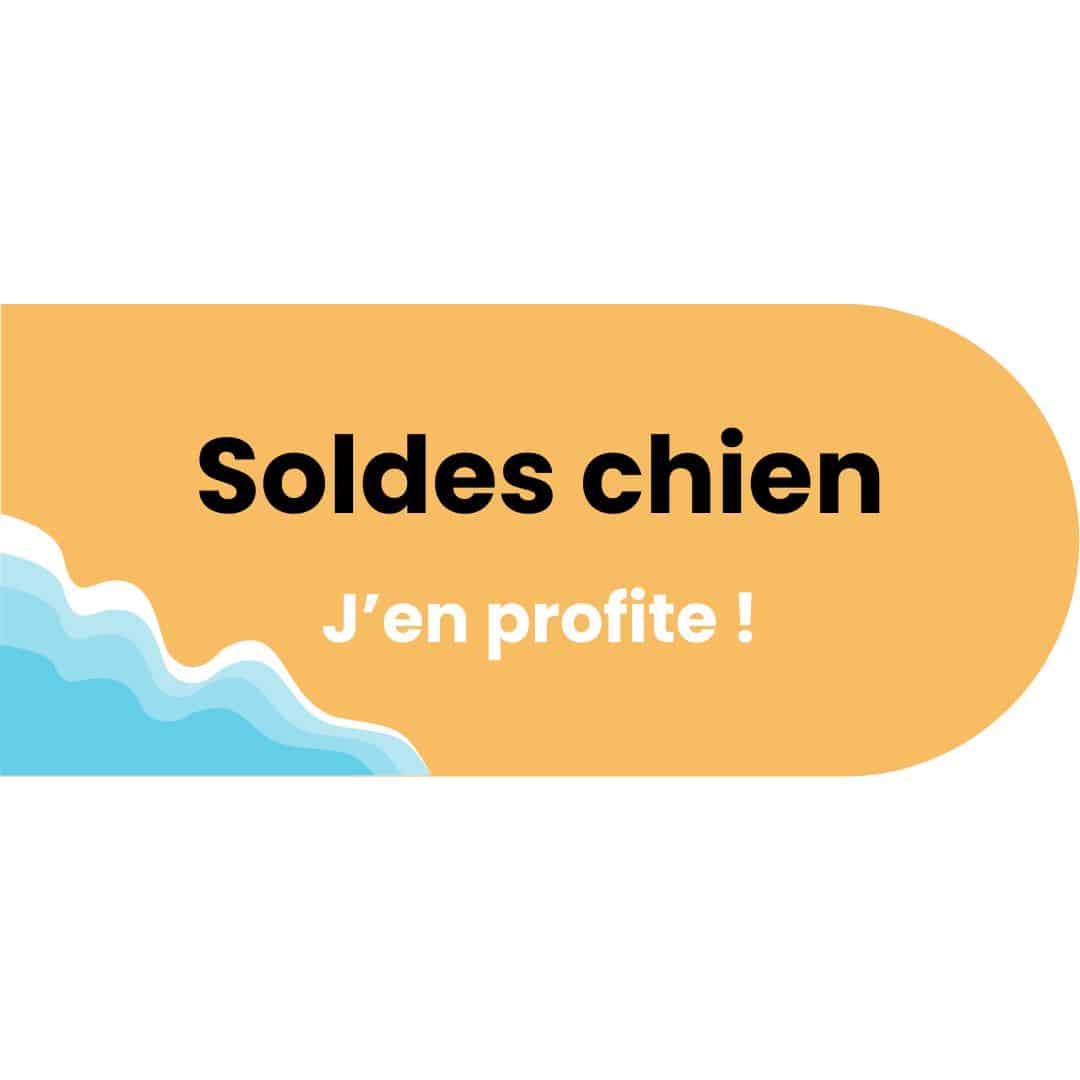 Soldes chien