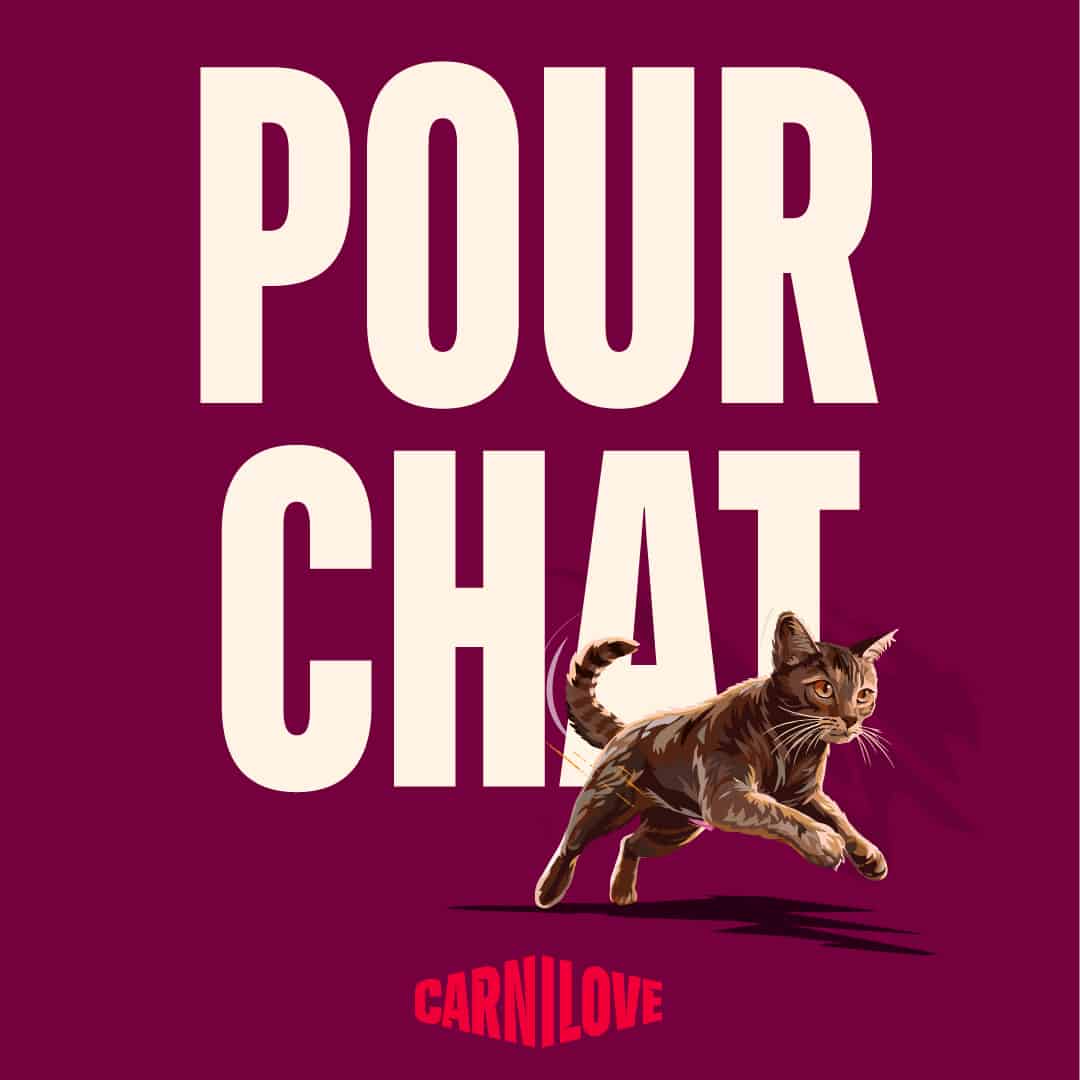 Carnilove aliment pour chat