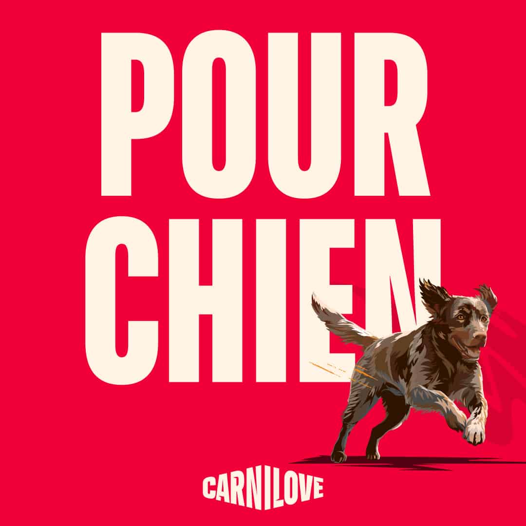 Carnilove alimentation pour chien
