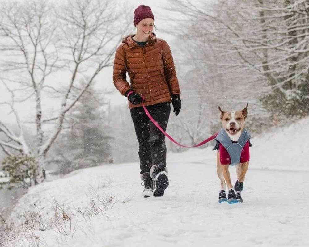 Quelle bottine de neige pour chien ?