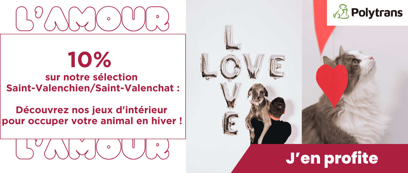 aint-Valenchien / Saint-Valenchat : Découvrez nos jeux d'intérieur pour occuper votre animal en hiver !