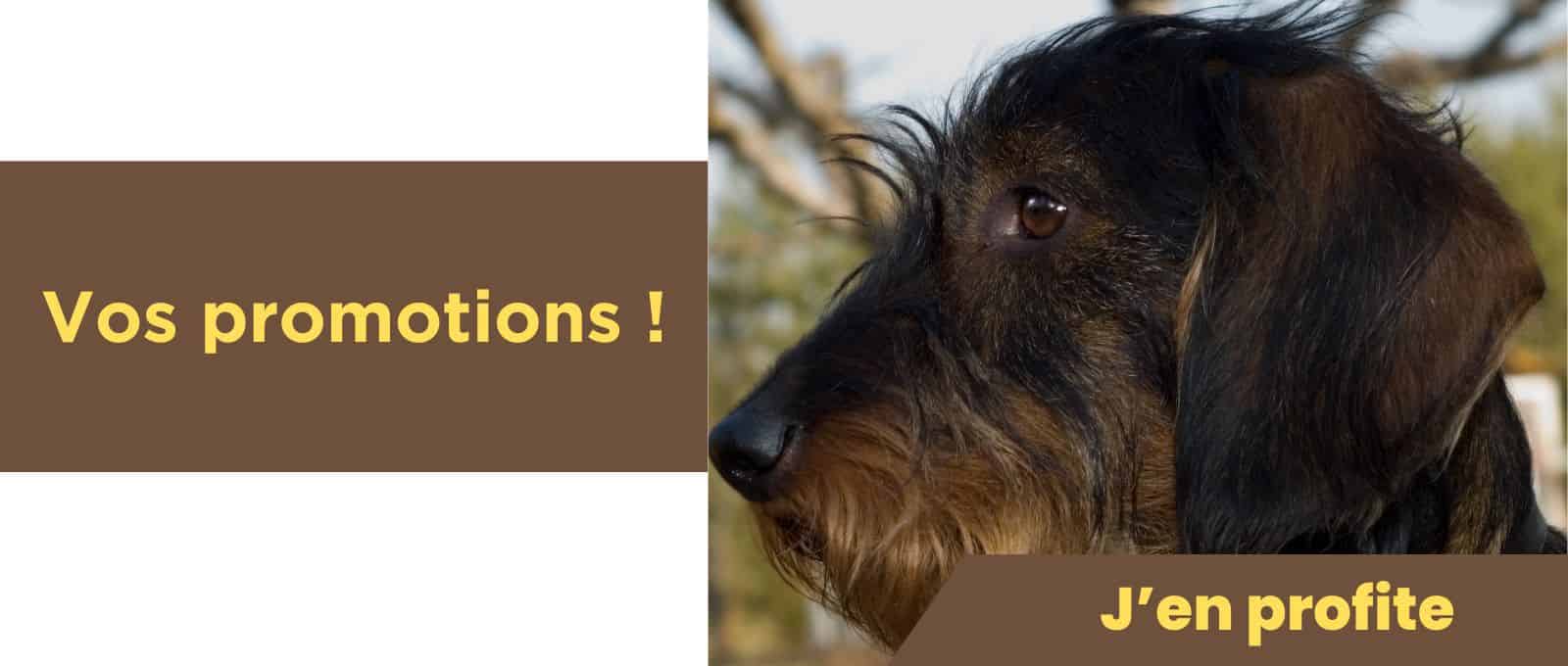 Promotions chiens et chats