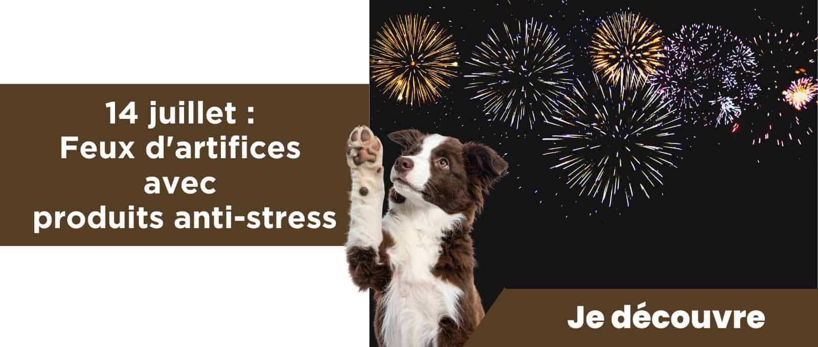 Promotions chiens et chats