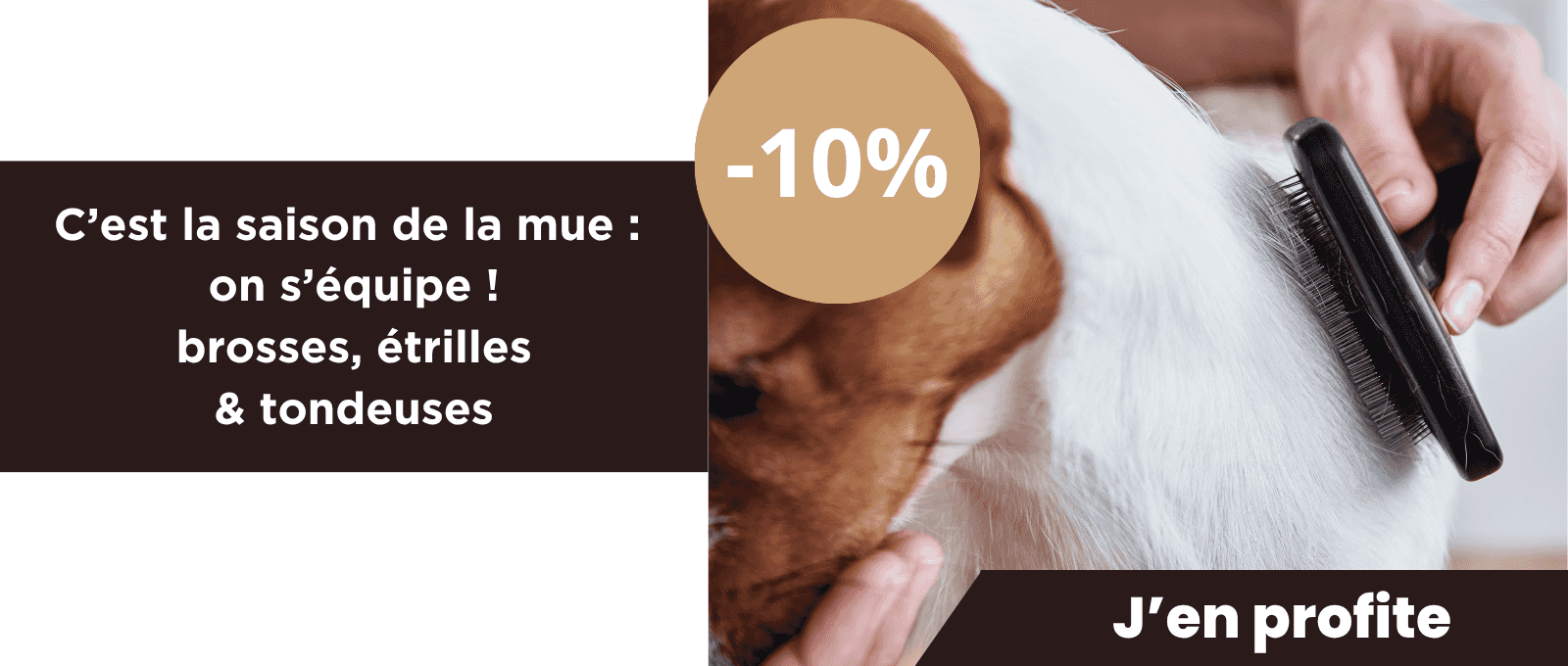 https://www.polytrans.fr/cest-la-saison-de-la-mue-10-sur-les-brosses-etrilles-tondeuses