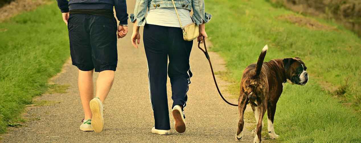 Est-ce grave de ne pas promener son chien tous les jours ?