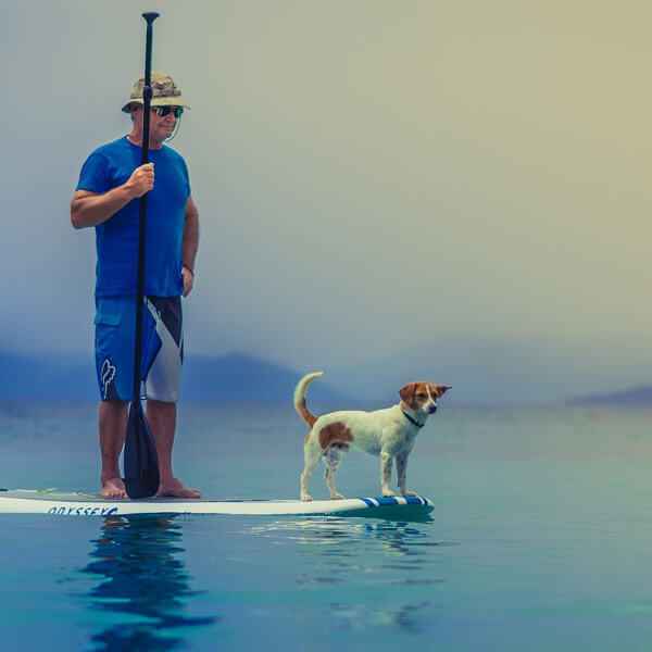 Bien s’équiper pour débuter le cani paddle