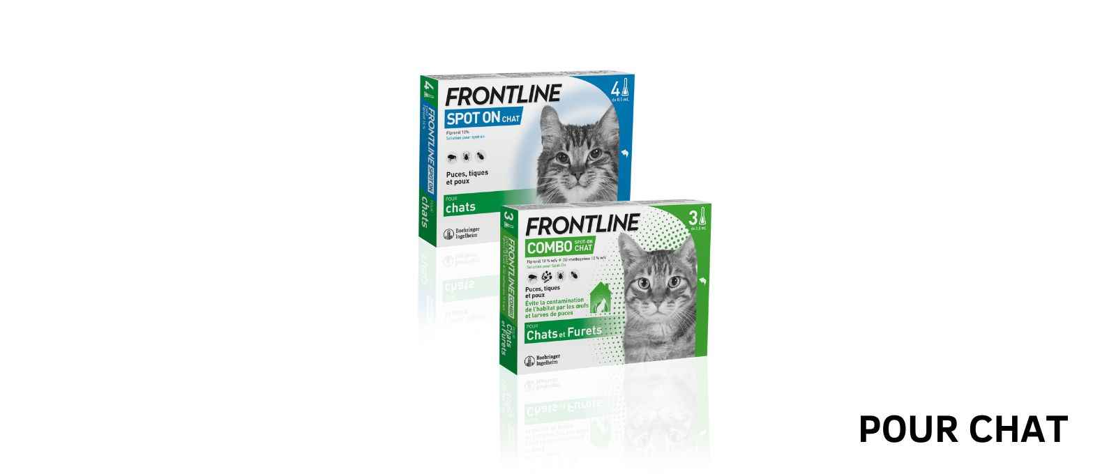 Frontline antiparasitaires pour chats