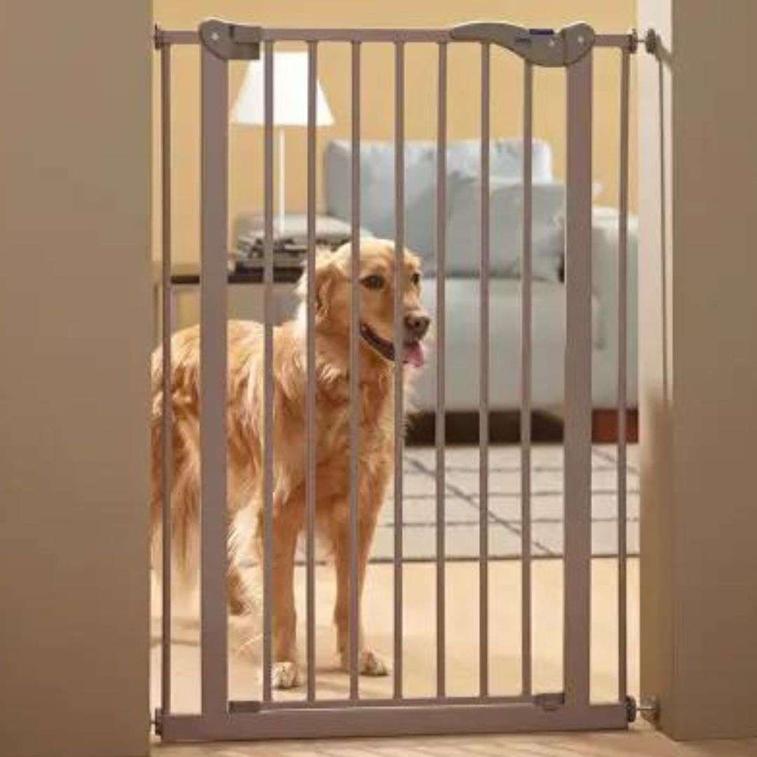 Barrière de sécurité pour chien