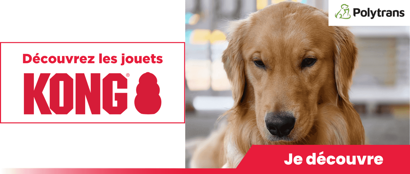 https://www.polytrans.fr/decouvrez-les-jouets-kong-2026