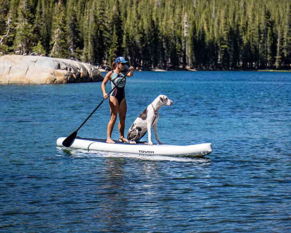 Cani-paddle