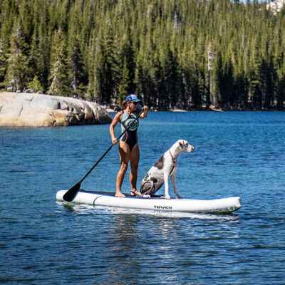 Le cani-paddle
