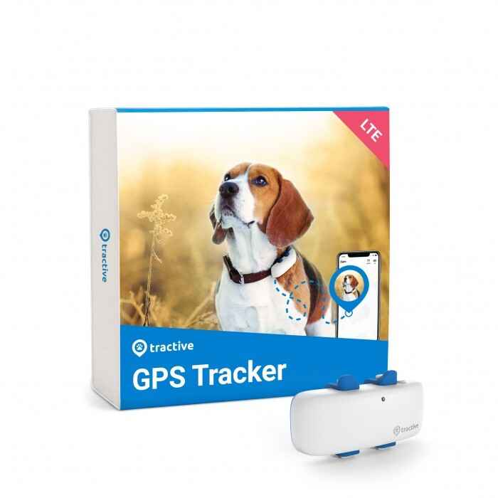 Boite traceur GPS chien