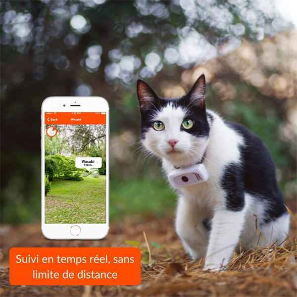 Weenect pour chat