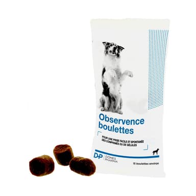 Aide à la prise de médicaments Observence pour chien